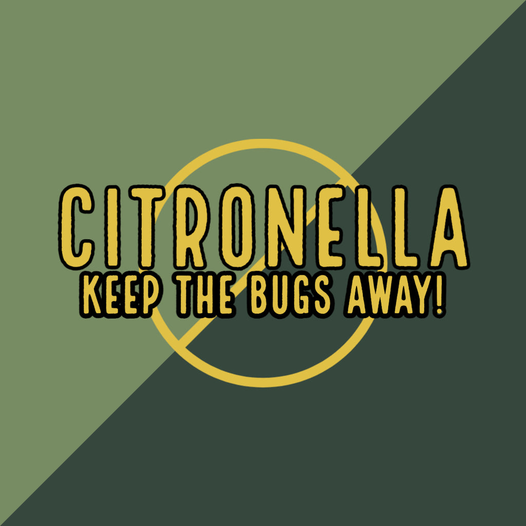 Citronella