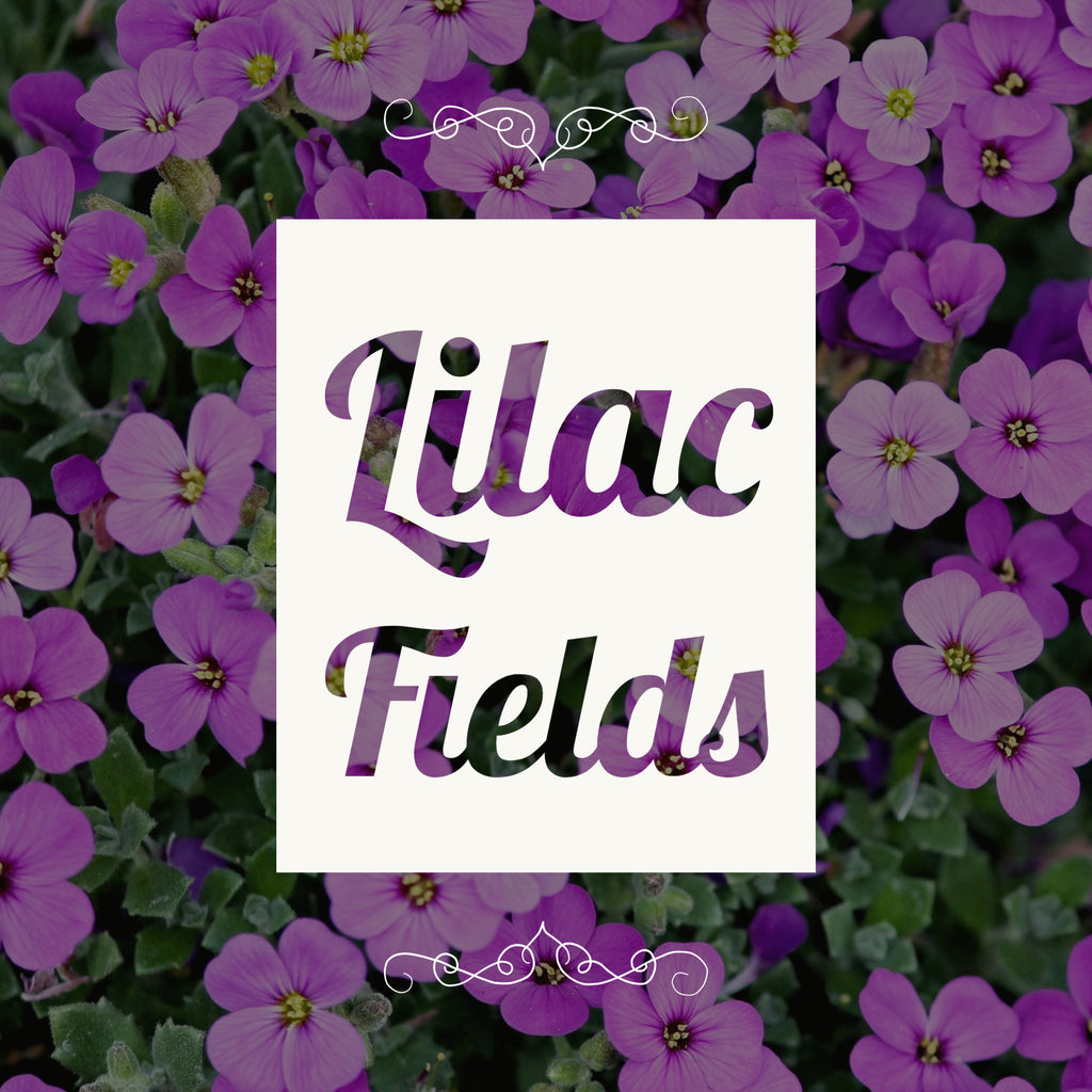 Lilac Fields